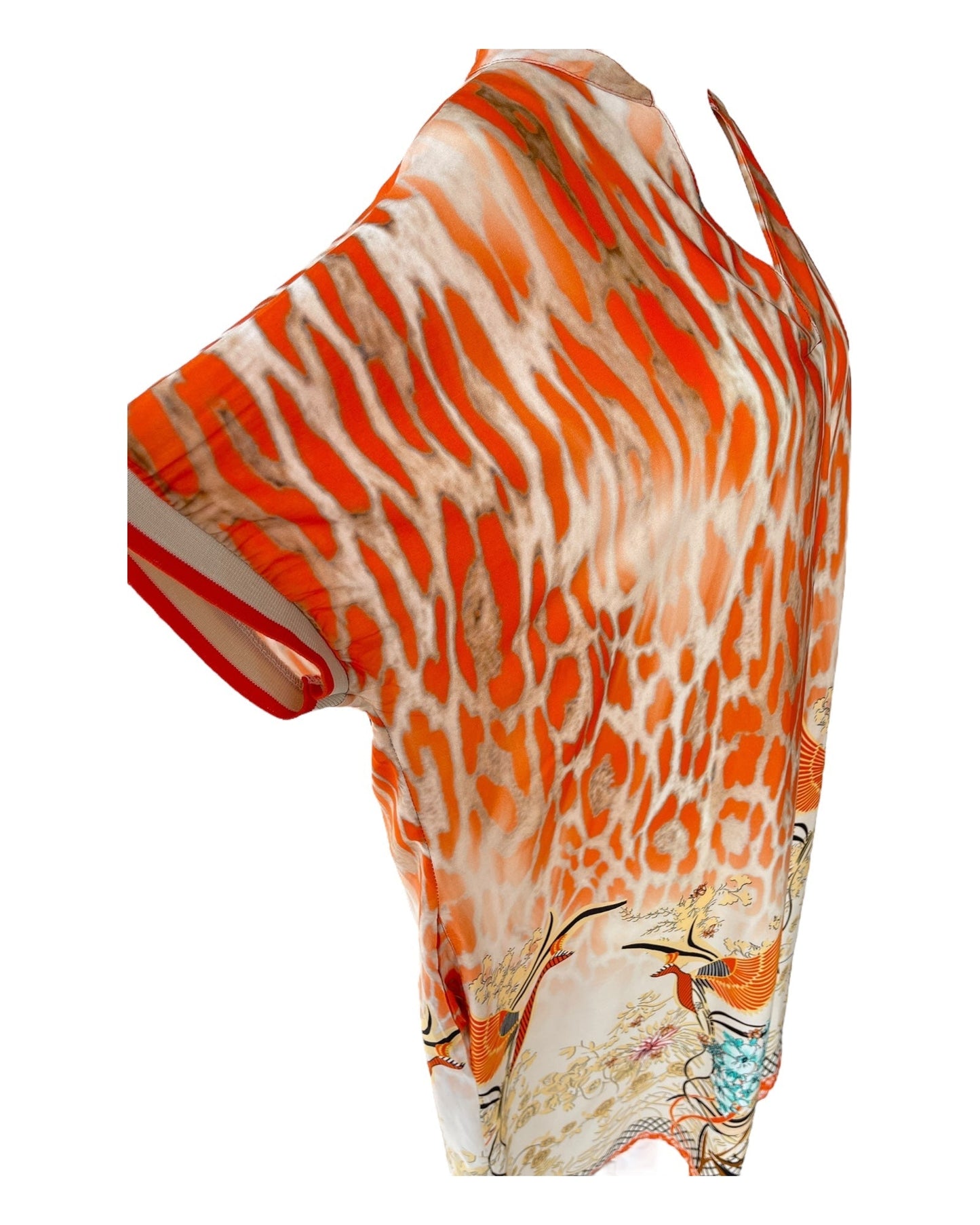 Elegant V-Neck Asian Print Maxi Dress