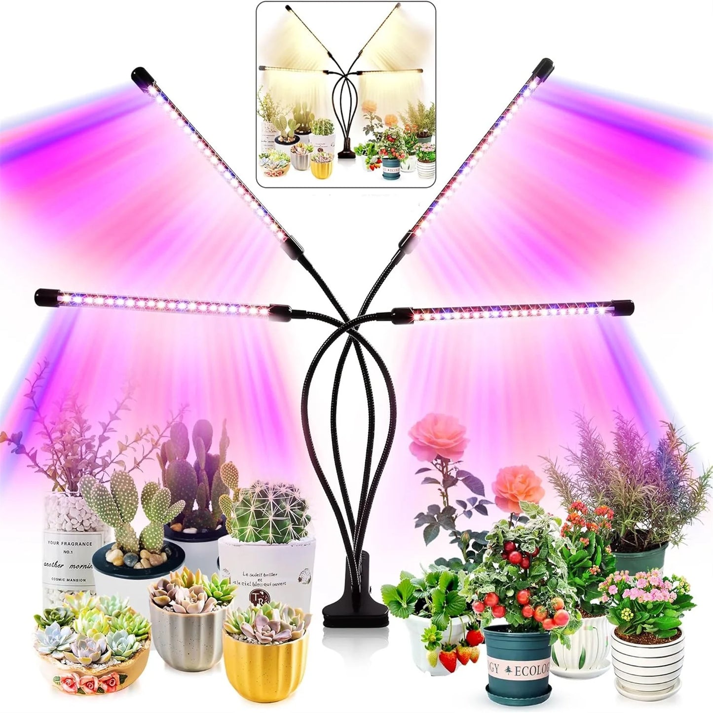 LED Plant Grow Light with Timer and Clip