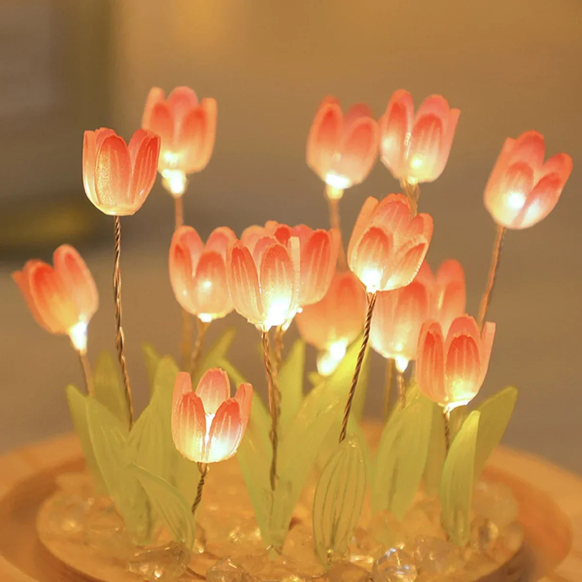 DIY Tulip LED Dome Night Light Gift Set