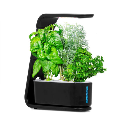 Indoor Hydroponic Herb Garden with LED Grow Light