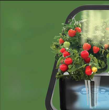 Indoor Hydroponic Herb Garden with LED Grow Light