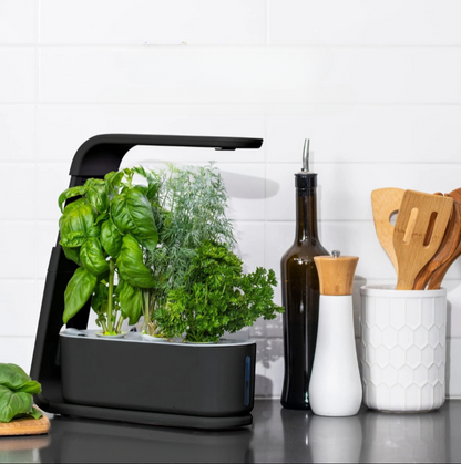 Indoor Hydroponic Herb Garden with LED Grow Light