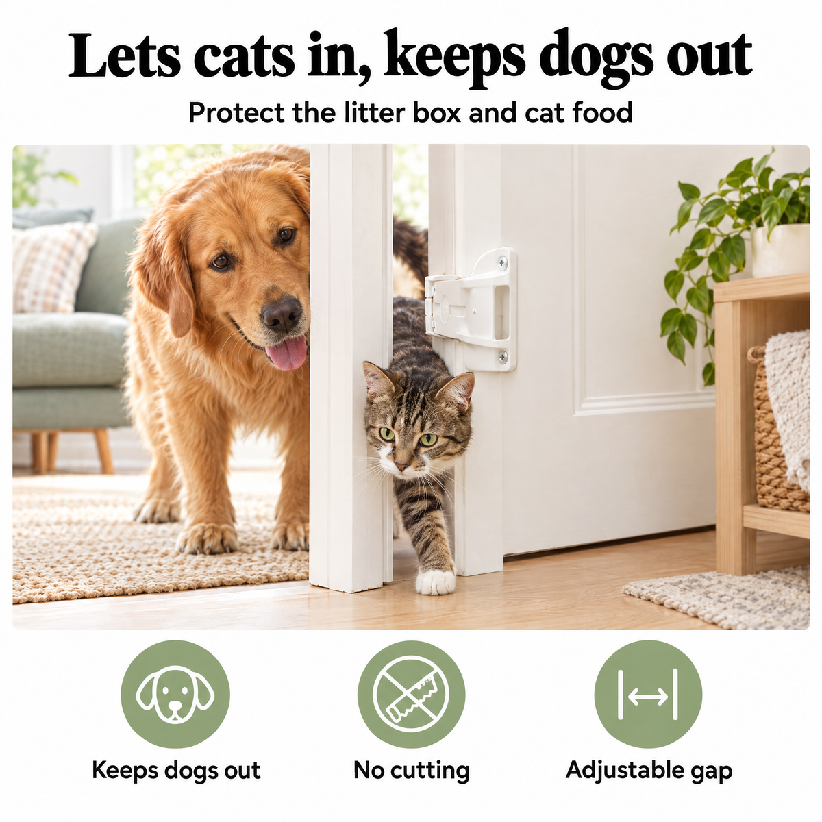 Cat door prop – lets cats in, keeps dogs out