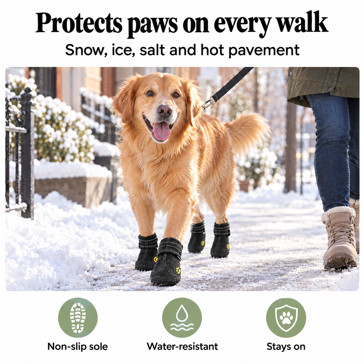 Dog boots for winter walks in snow, salt and hot pavement