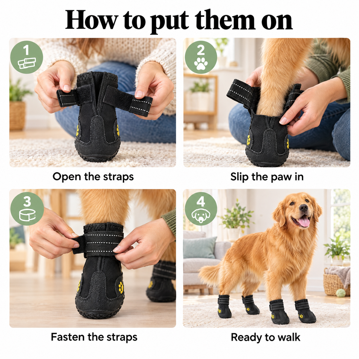 How to put on dog boots