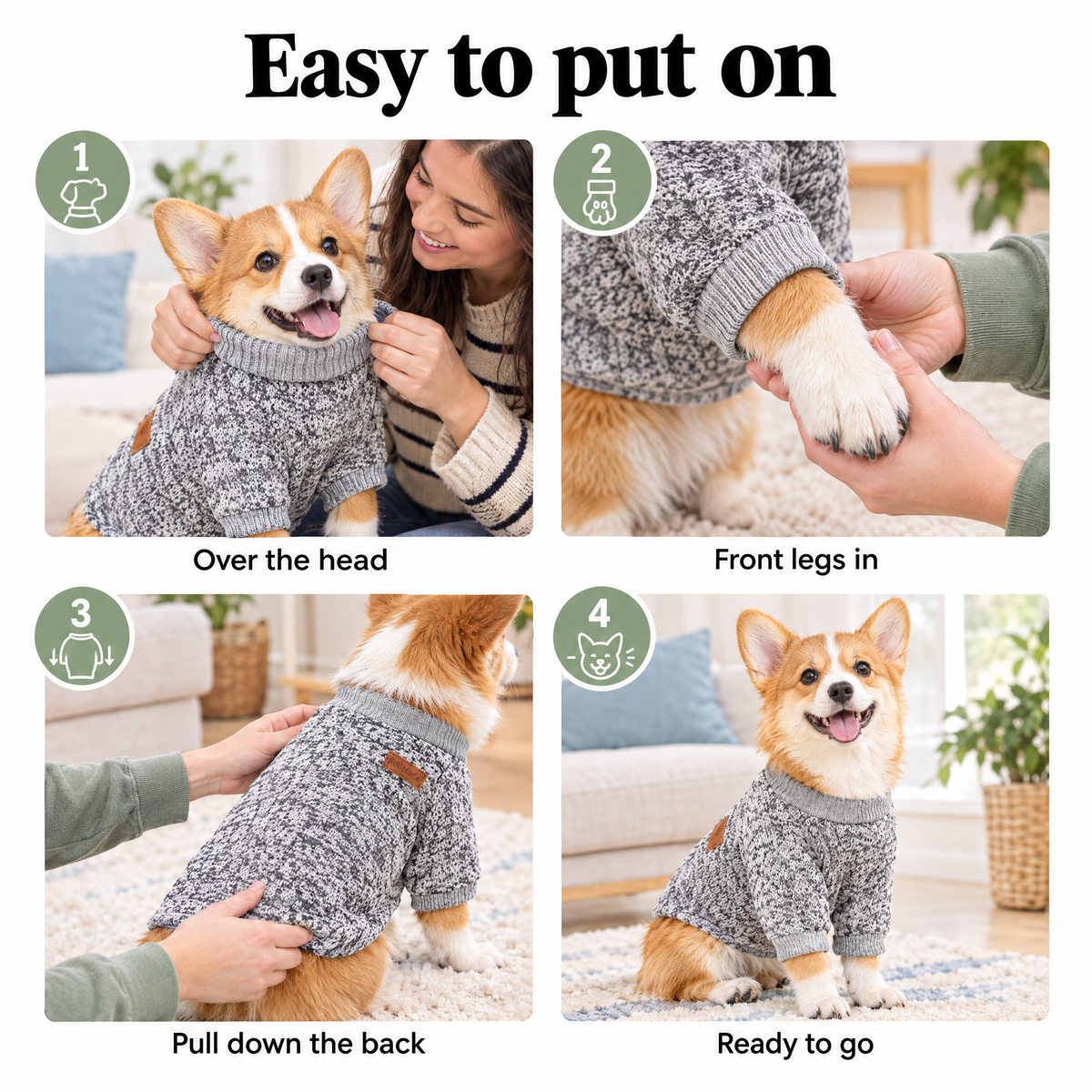 How to put a sweater on a small dog