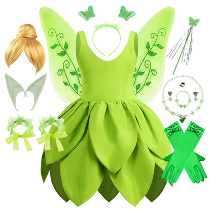 Girls’ Green Fairy Dress with Accessories