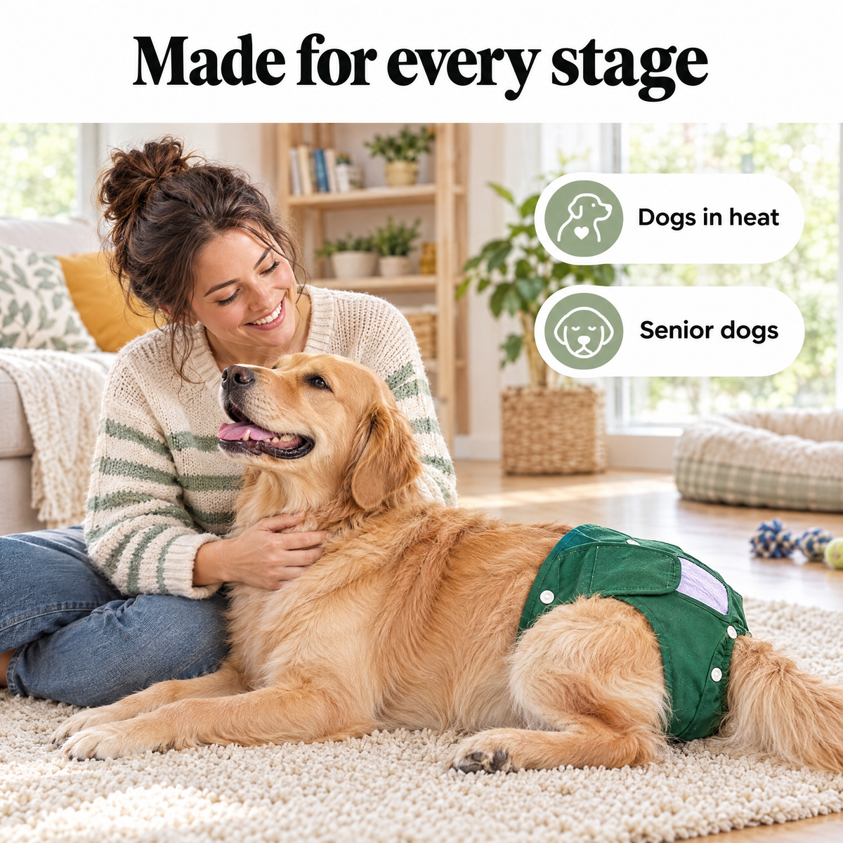 Dog diapers for dogs in heat and senior dogs