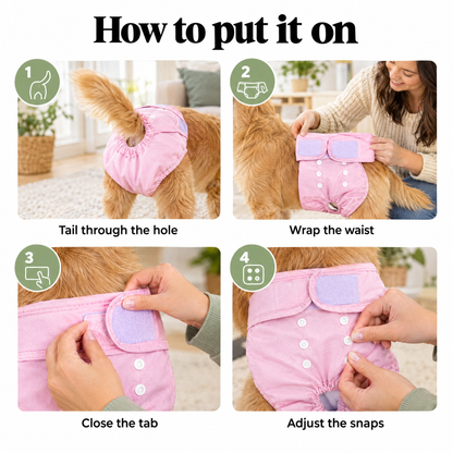 How to put on a female dog diaper